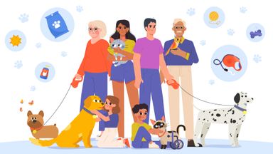 Template Thumb Image